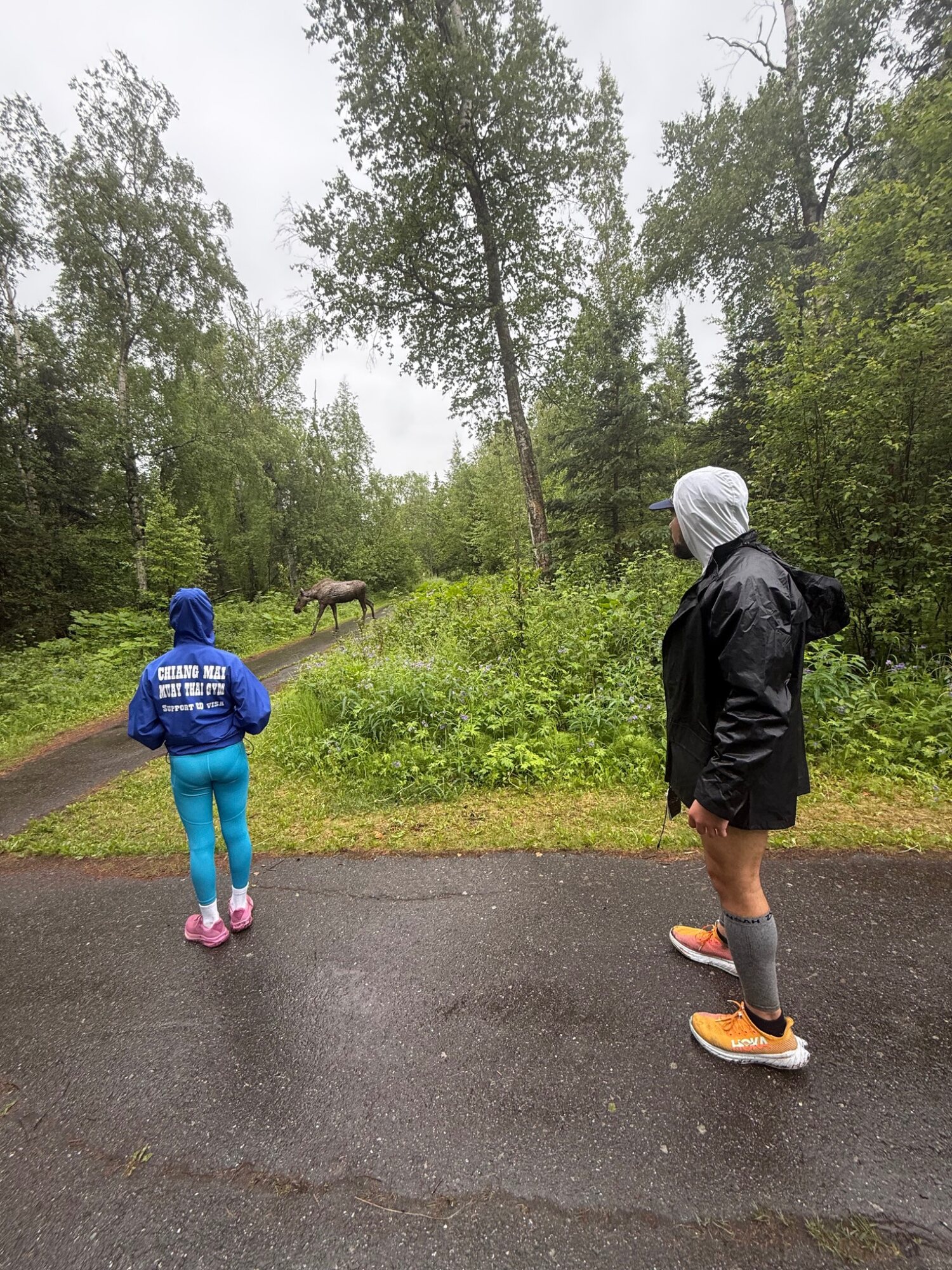 A moose crossing the rain-soaked course while two participants pause on the trail.